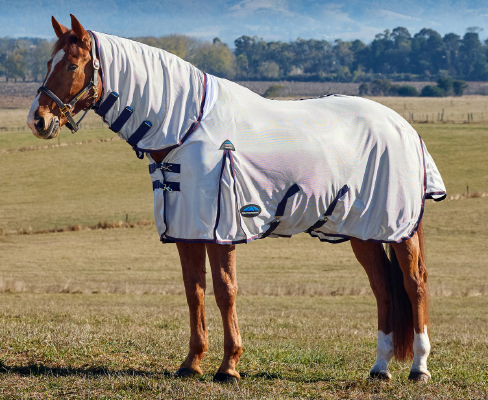 Fly sheets for horse for fly protection
